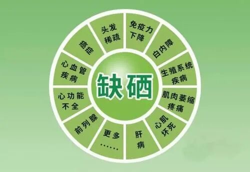 微信图片_2026-05-18_141707_391.jpg