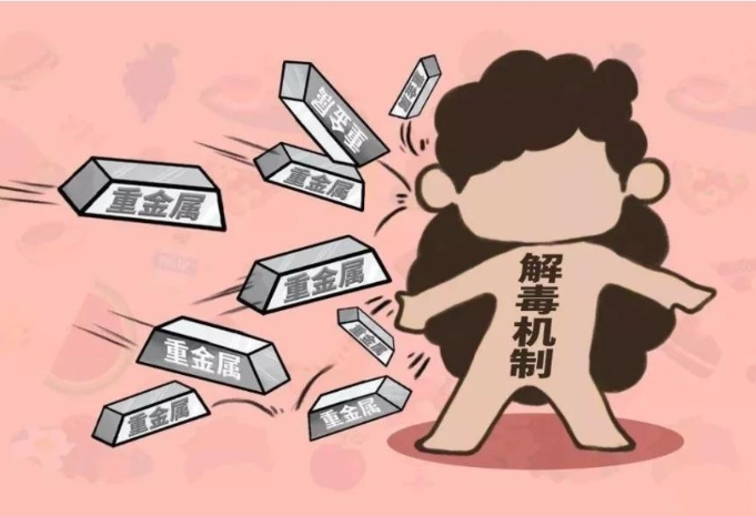 微信图片_2026-05-18_142513_206.png