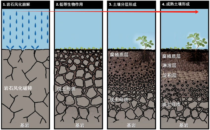 微信图片_2026-05-18_142644_814.png