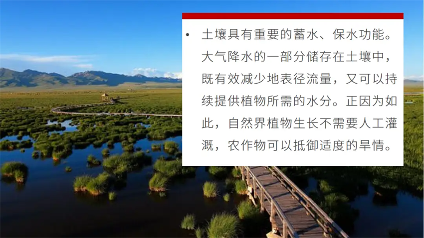微信图片_2026-05-18_142927_462.png